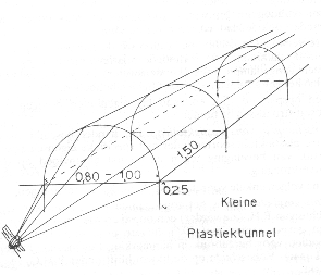 aardbei51kleineplastiektunnel.gif (19573 bytes)