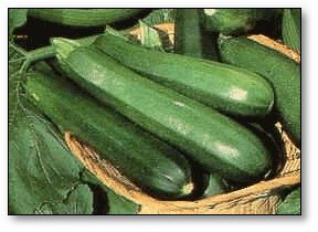 Courgettemandje