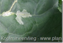 kool2_mineergangen