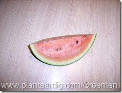 watermeloen-stuk_rijp