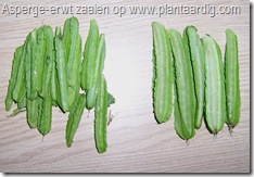 asperge-erwt-geoogst-19juli