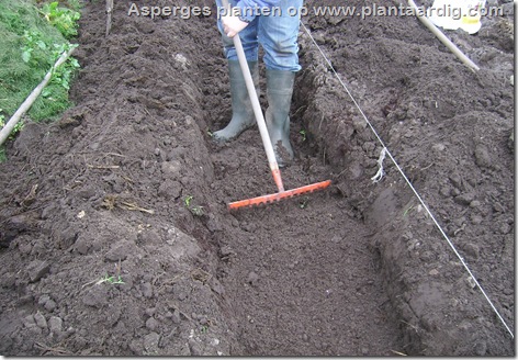 asperges-planten-geul-harken-nivelleren