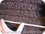 tomaten zaaien 2008-10