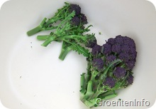 winterbroccoli_oogst_maart