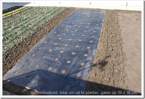 groentebed op grondoek, klaar om uit te planten