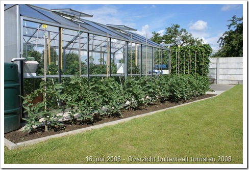 Overzicht buitenteelt tomaten 2008.