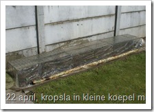 Kropsla kweken in kleine koepel, pas geplant