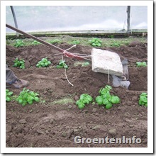 aardappelen ophogen aanaarder