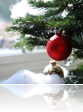 kerstboom