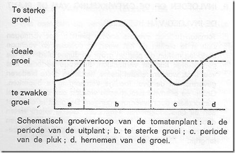 groeiperiodes%20tomaaat%20001