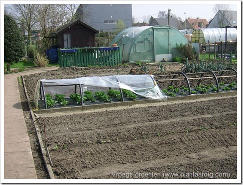 tunnel aardbeien