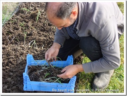 100een oude pot oerprei scheuren