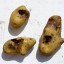 8 x zieke en afwijkende aardappelknollen