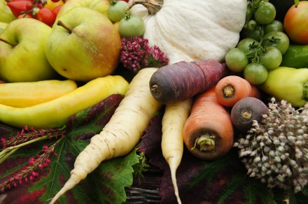 Oogst uit de moestuin