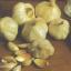 Knoflook planten in november