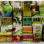 Groente en Fruit Encyclopedie wordt Goud.