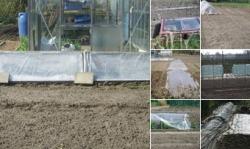 Het blijft koud. Kan ik er dan toch aan beginnen? Een artikel voor de beginnende moestuinder.