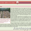 Enkele pagina's uit de folder : "de moestuin tijdens de zomer"