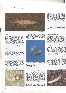 Index picture plagen_0006.htm