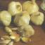 Knoflook planten in november