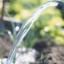 Nog eens een droge aprilmaand? 20 teelttips bij droogte in de moestuin.